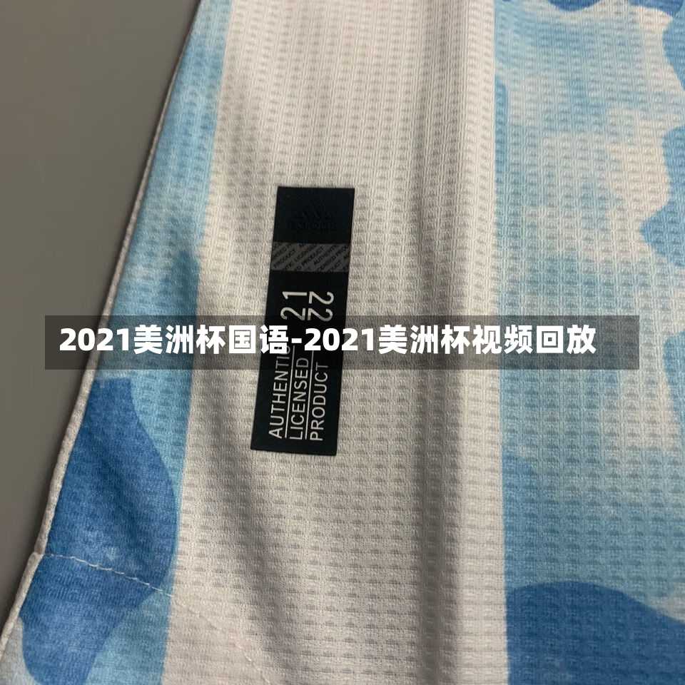 2021美洲杯国语-2021美洲杯视频回放