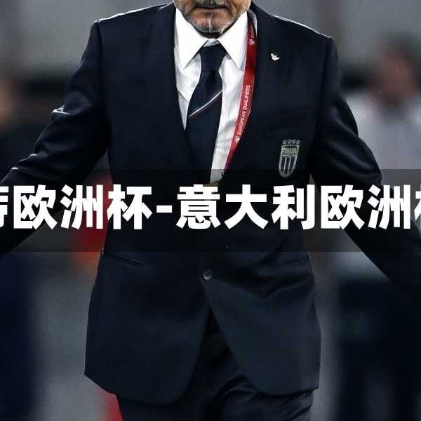 意大利托蒂欧洲杯-意大利欧洲杯东道主
