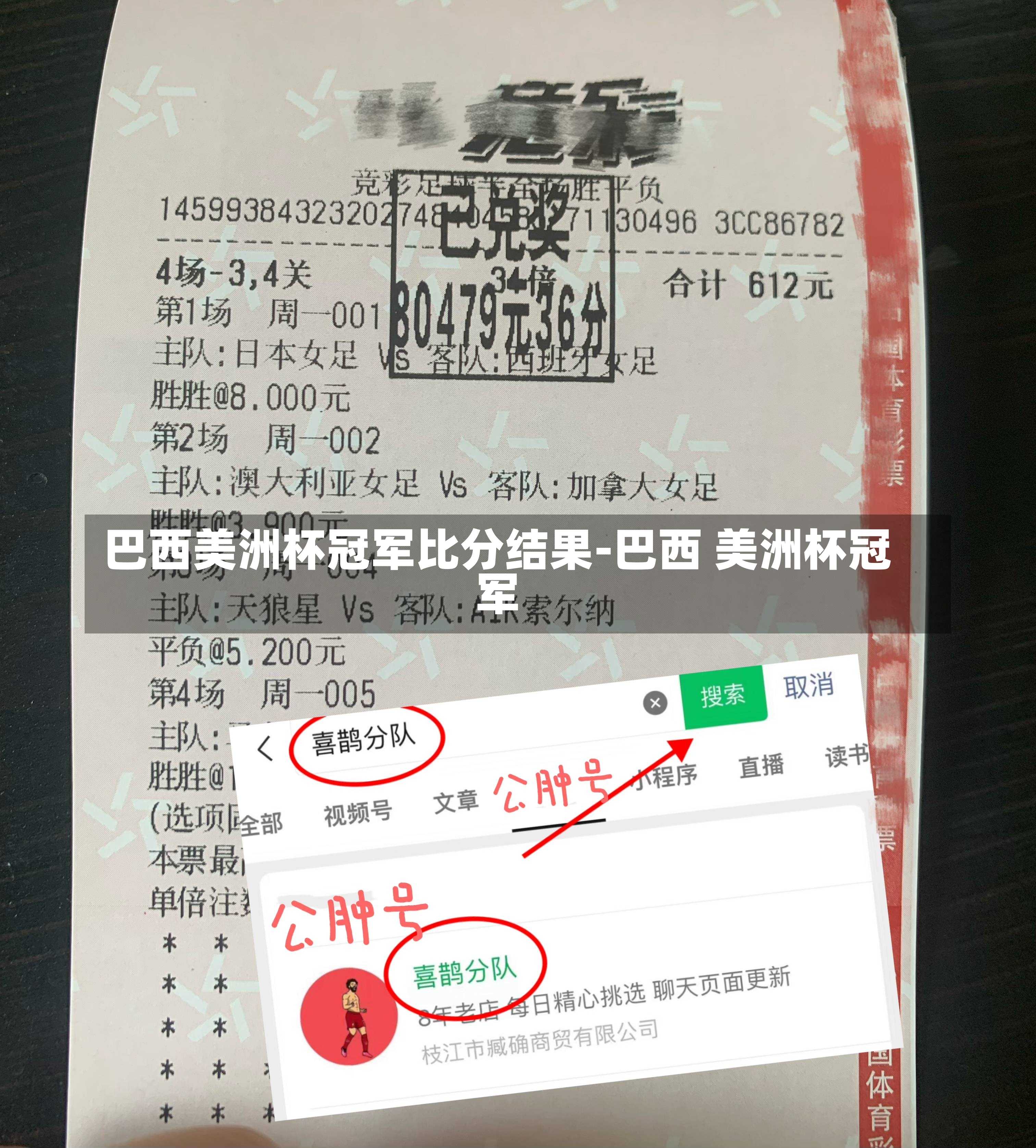 巴西美洲杯冠军比分结果-巴西 美洲杯冠军