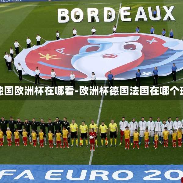 法国德国欧洲杯在哪看-欧洲杯德国法国在哪个球场