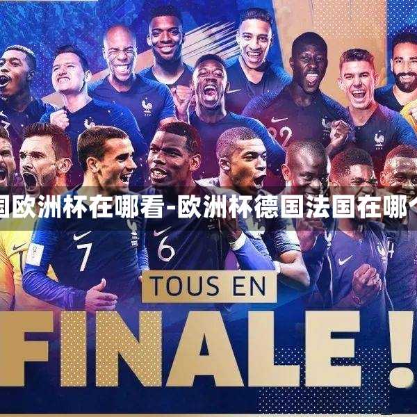 法国德国欧洲杯在哪看-欧洲杯德国法国在哪个球场