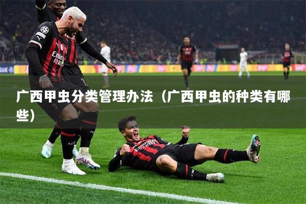 广西甲虫分类管理办法（广西甲虫的种类有哪些）