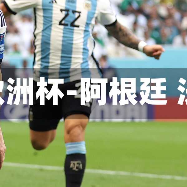 阿根廷法国欧洲杯-阿根廷 法国 世界杯