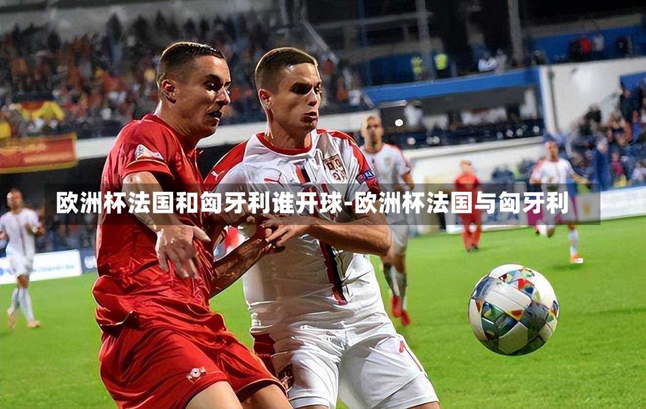 欧洲杯法国和匈牙利谁开球-欧洲杯法国与匈牙利