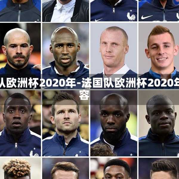 法国队欧洲杯2020年-法国队欧洲杯2020年阵容