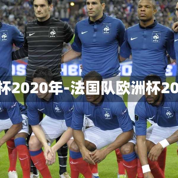 法国队欧洲杯2020年-法国队欧洲杯2020年阵容