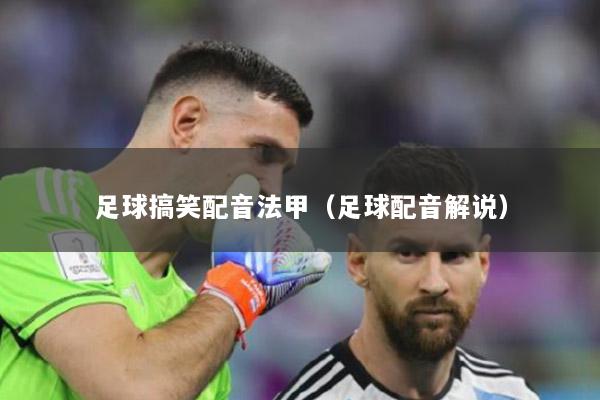 足球搞笑配音法甲（足球配音解说）