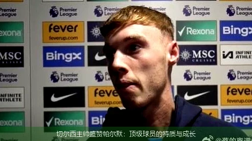 切尔西主帅盛赞帕尔默：顶级球员的特质与成长