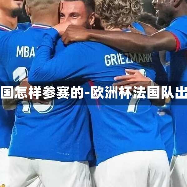欧洲杯法国怎样参赛的-欧洲杯法国队出线了吗