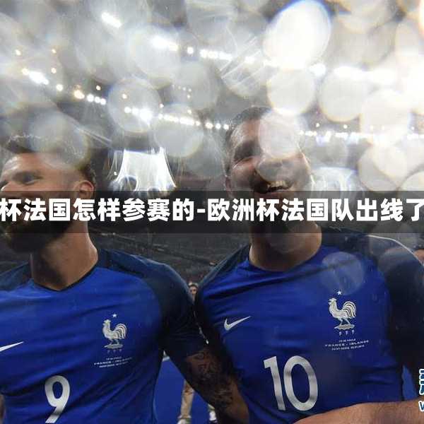 欧洲杯法国怎样参赛的-欧洲杯法国队出线了吗