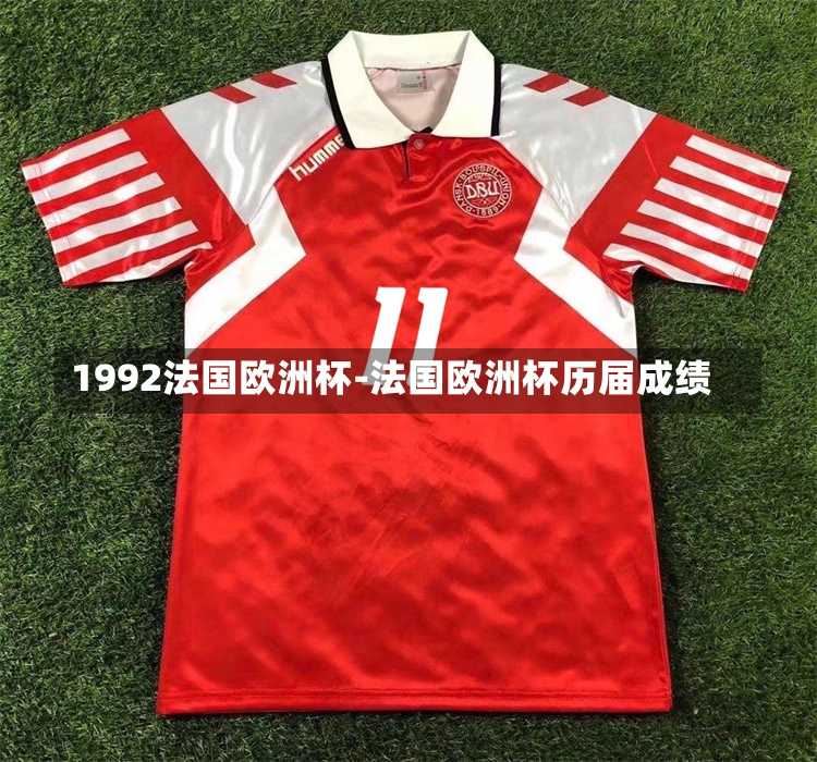 1992法国欧洲杯-法国欧洲杯历届成绩