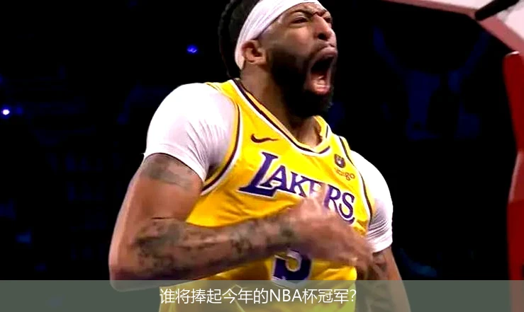 谁将捧起今年的NBA杯冠军？