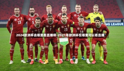2024欧洲杯去哪里看直播啊-2021年欧洲杯在哪里可以看直播