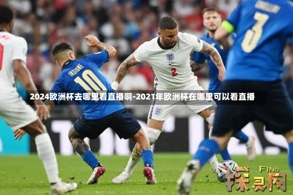 2024欧洲杯去哪里看直播啊-2021年欧洲杯在哪里可以看直播