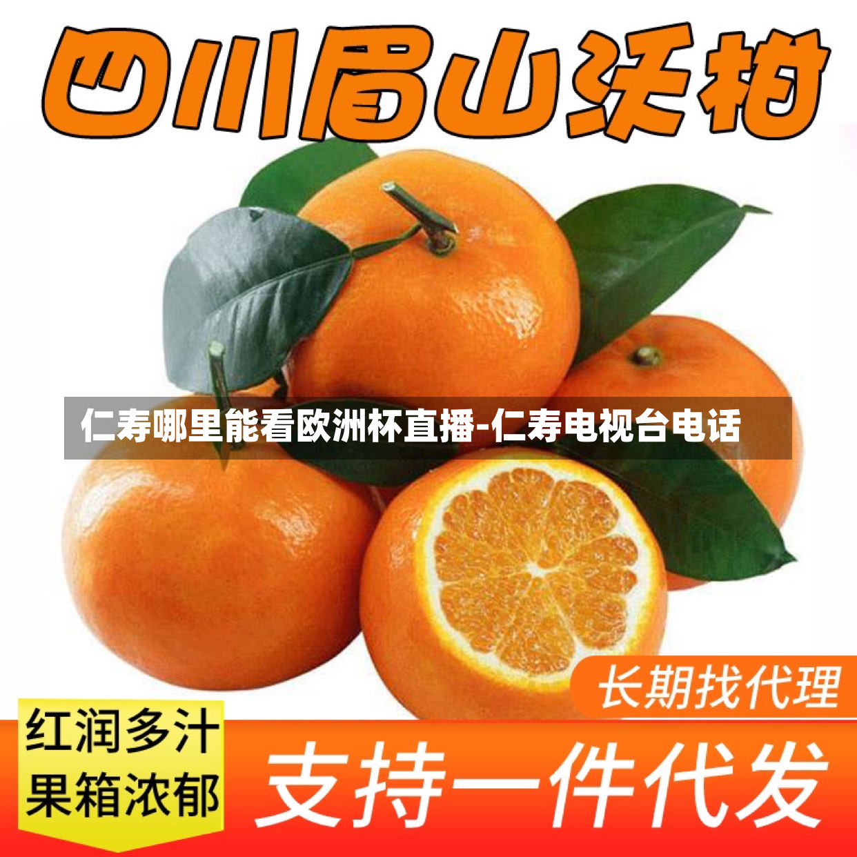仁寿哪里能看欧洲杯直播-仁寿电视台电话