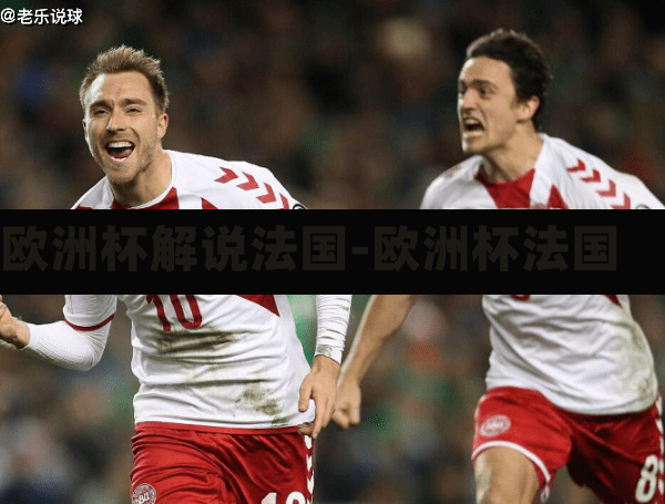 欧洲杯解说法国-欧洲杯法国