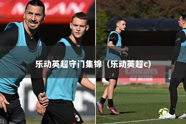 乐动英超守门集锦（乐动英超c）