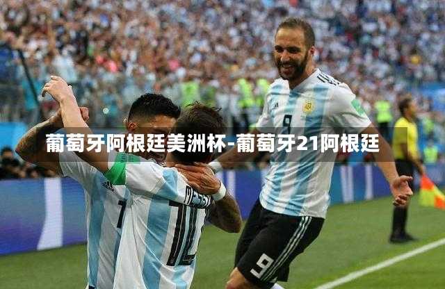 葡萄牙阿根廷美洲杯-葡萄牙21阿根廷