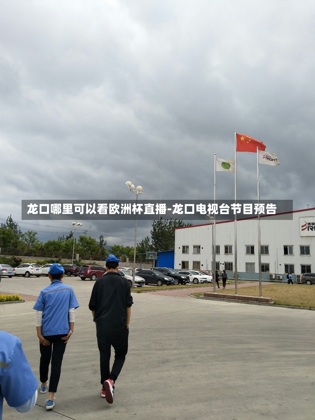龙口哪里可以看欧洲杯直播-龙口电视台节目预告