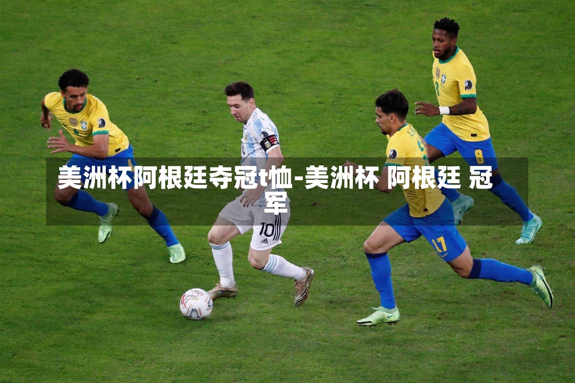 美洲杯阿根廷夺冠t恤-美洲杯 阿根廷 冠军