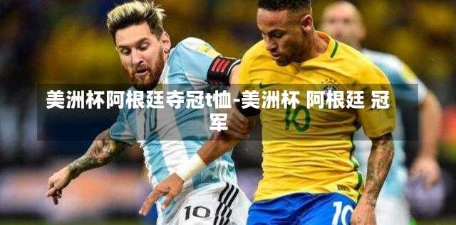 美洲杯阿根廷夺冠t恤-美洲杯 阿根廷 冠军