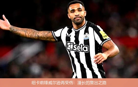 纽卡前锋威尔逊再受伤：漫长的复出之路