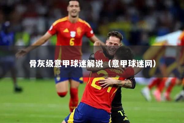 骨灰级意甲球迷解说（意甲球迷网）
