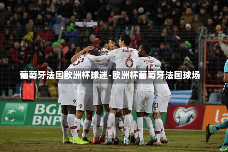 葡萄牙法国欧洲杯球迷-欧洲杯葡萄牙法国球场
