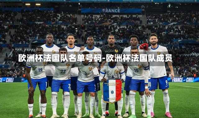 欧洲杯法国队名单号码-欧洲杯法国队成员