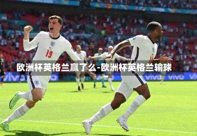 欧洲杯英格兰赢了么-欧洲杯英格兰输球