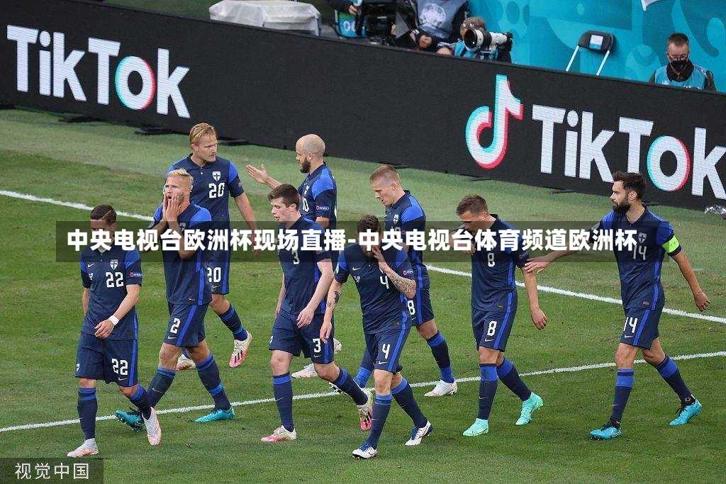 中央电视台欧洲杯现场直播-中央电视台体育频道欧洲杯