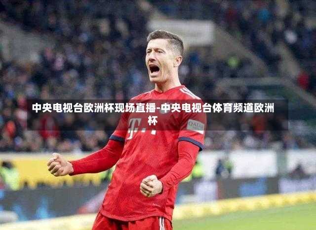 中央电视台欧洲杯现场直播-中央电视台体育频道欧洲杯