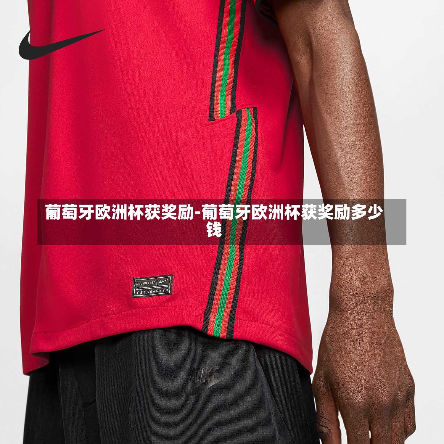 葡萄牙欧洲杯获奖励-葡萄牙欧洲杯获奖励多少钱
