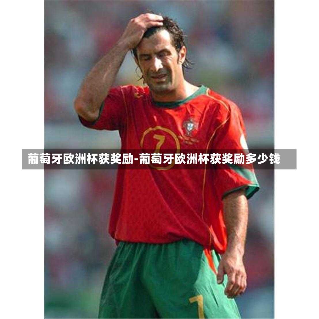 葡萄牙欧洲杯获奖励-葡萄牙欧洲杯获奖励多少钱