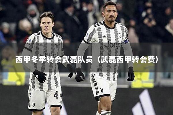 西甲冬季转会武磊队员（武磊西甲转会费）