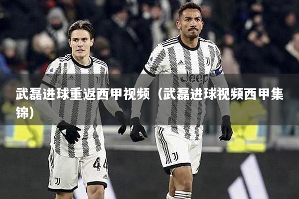 武磊进球重返西甲视频（武磊进球视频西甲集锦）