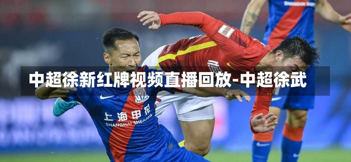 中超徐新红牌视频直播回放-中超徐武