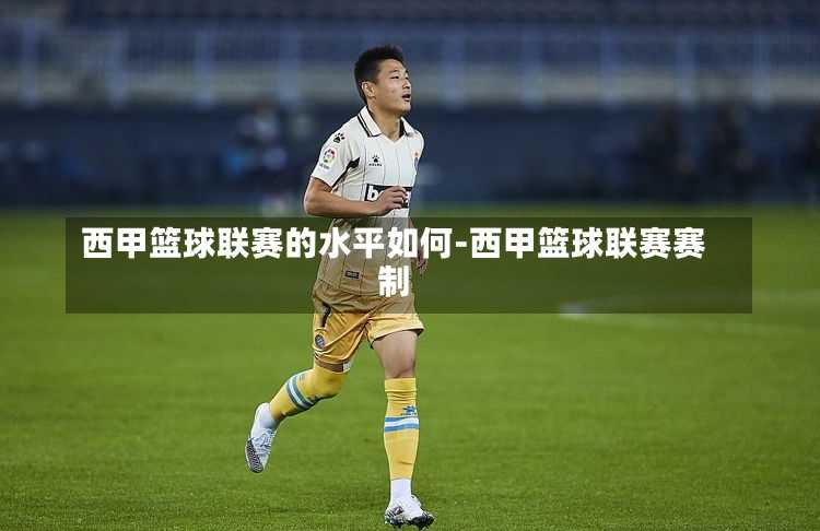 西甲篮球联赛的水平如何-西甲篮球联赛赛制