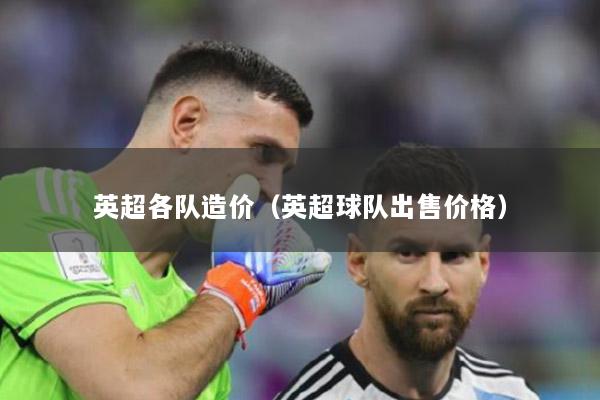 英超各队造价（英超球队出售价格）