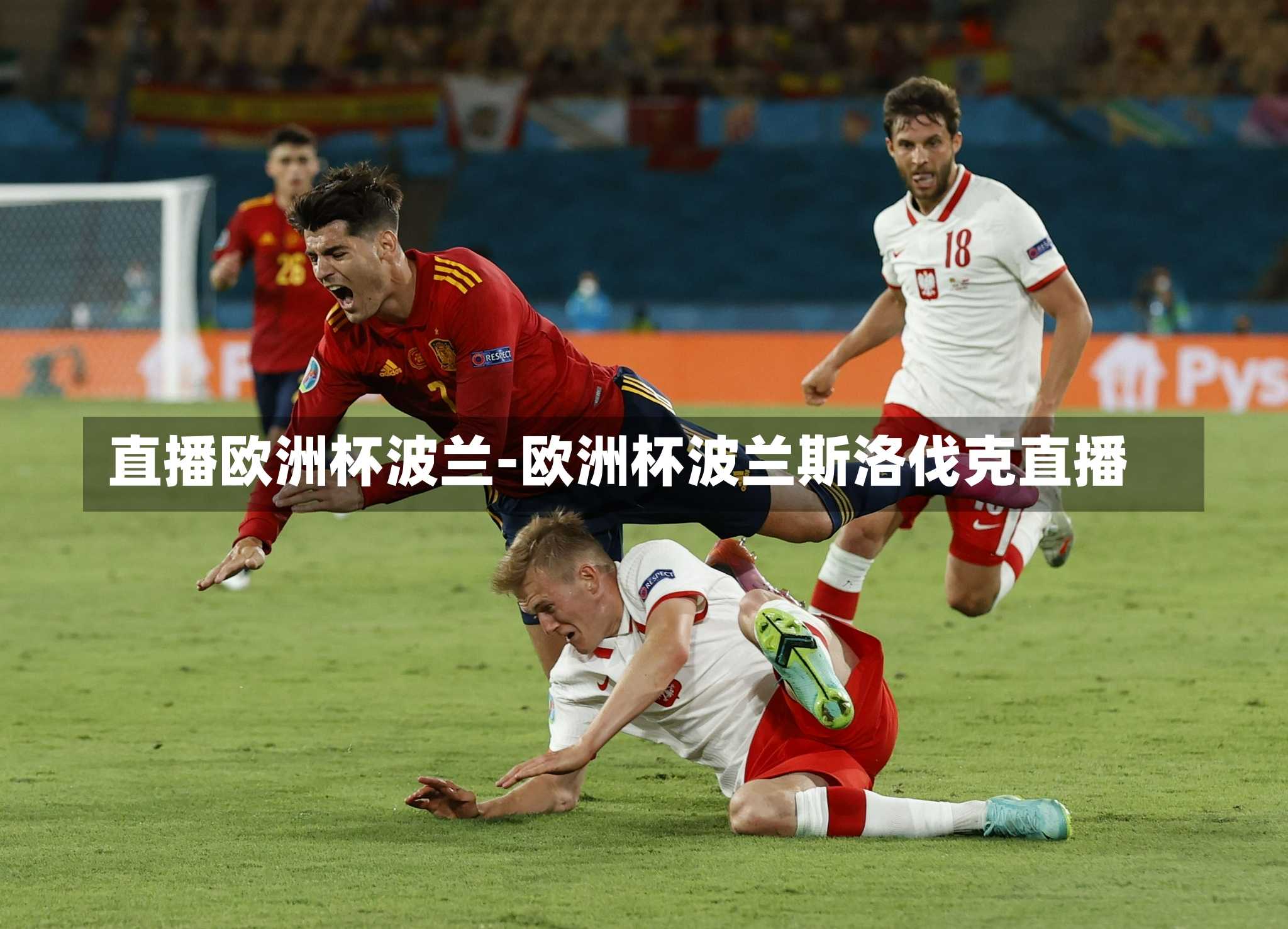 直播欧洲杯波兰-欧洲杯波兰斯洛伐克直播