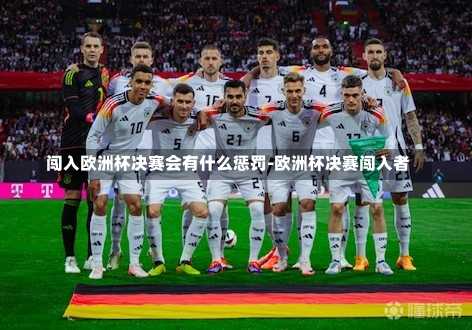 闯入欧洲杯决赛会有什么惩罚-欧洲杯决赛闯入者