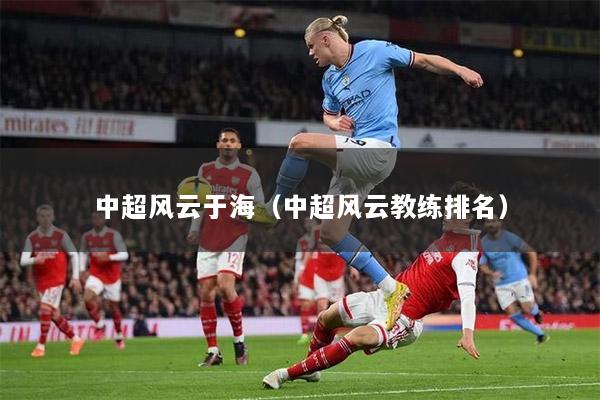 中超风云于海（中超风云教练排名）