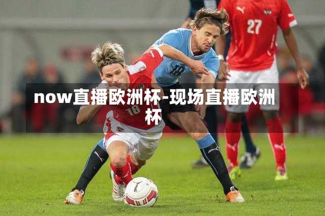now直播欧洲杯-现场直播欧洲杯