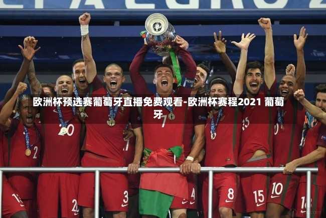欧洲杯预选赛葡萄牙直播免费观看-欧洲杯赛程2021 葡萄牙