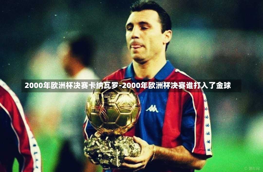 2000年欧洲杯决赛卡纳瓦罗-2000年欧洲杯决赛谁打入了金球
