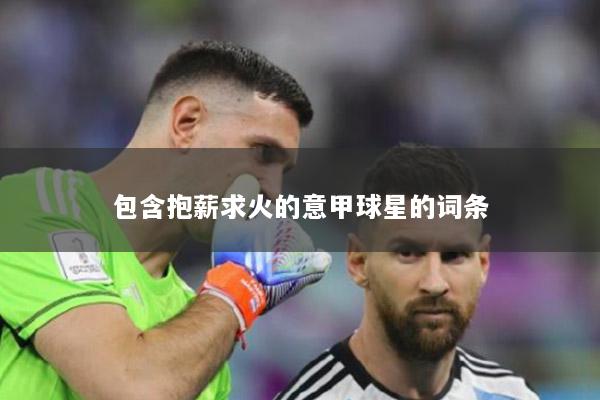 包含抱薪求火的意甲球星的词条