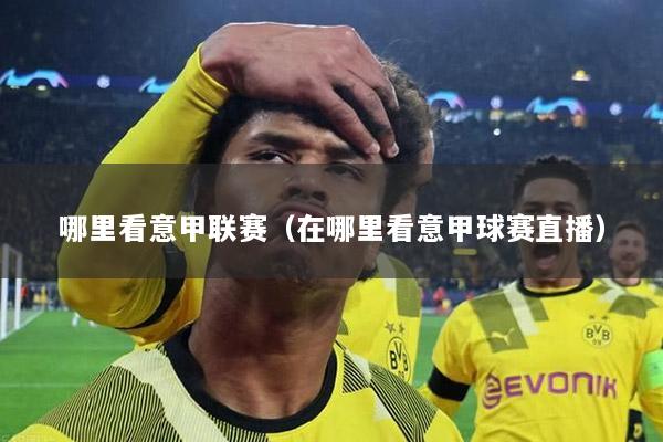 哪里看意甲联赛（在哪里看意甲球赛直播）
