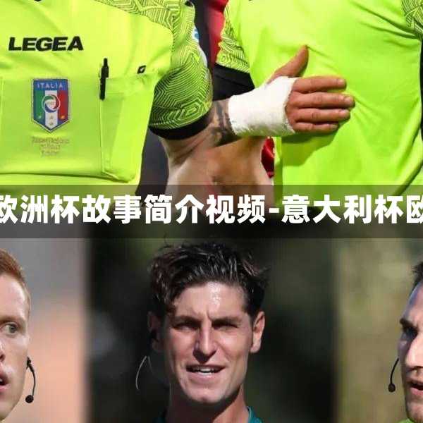 意大利欧洲杯故事简介视频-意大利杯欧洲杯