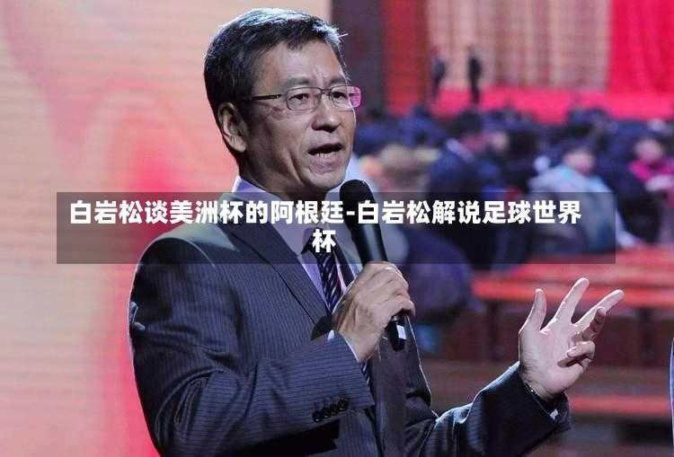 白岩松谈美洲杯的阿根廷-白岩松解说足球世界杯