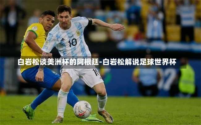 白岩松谈美洲杯的阿根廷-白岩松解说足球世界杯